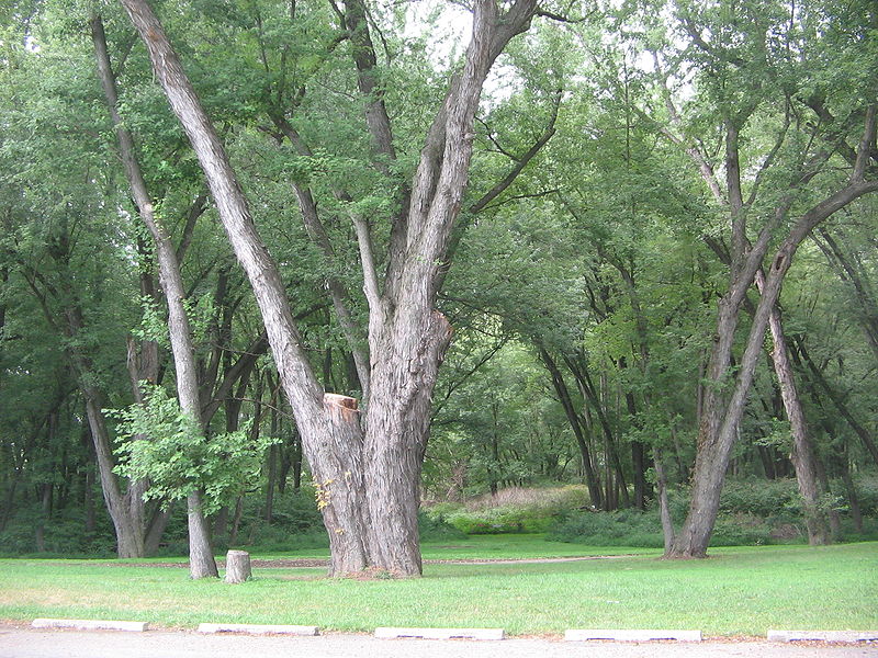 Milton State Park