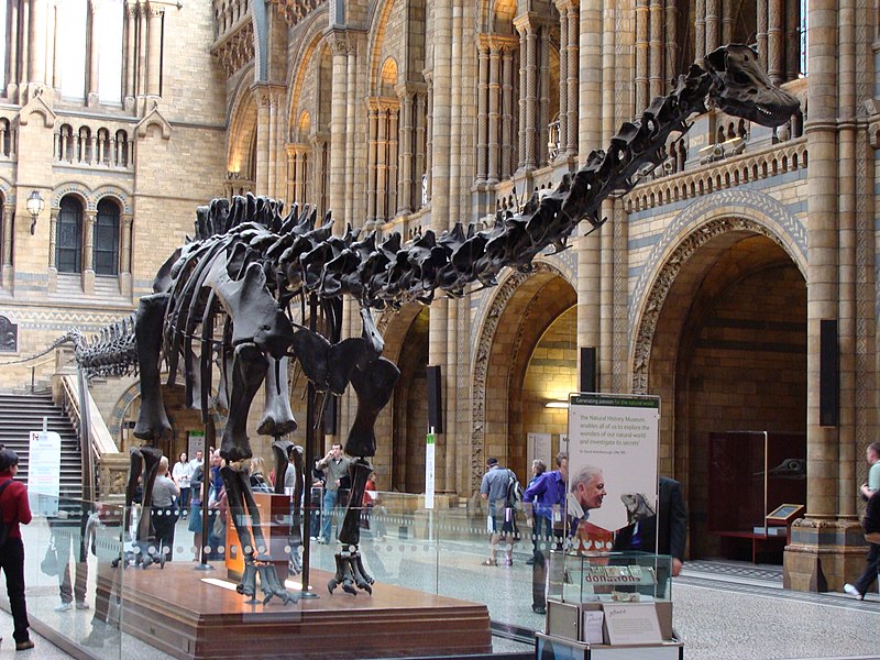 Dippy, Pittsburgh