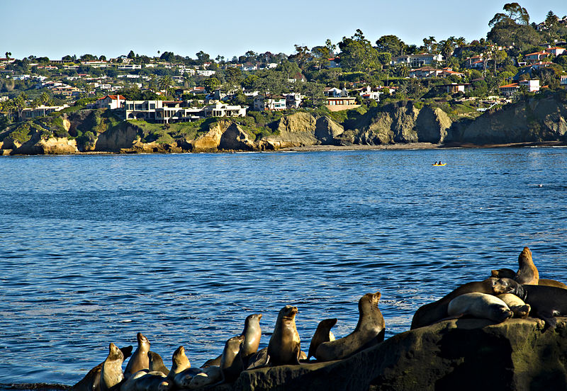 La Jolla Shores