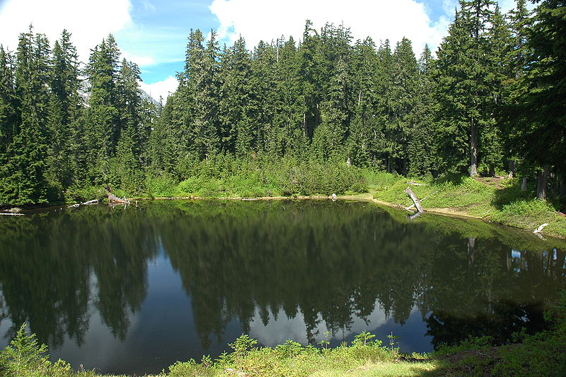 Virgin Lake