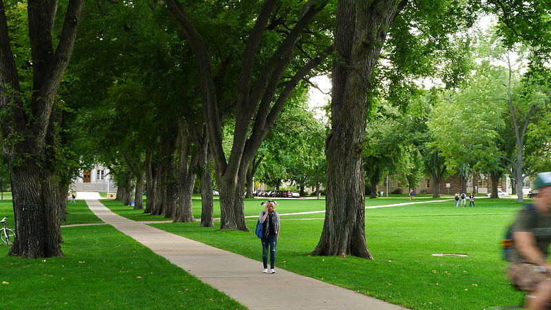 Université d'État du Colorado