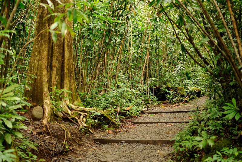 Cascada de Manoa