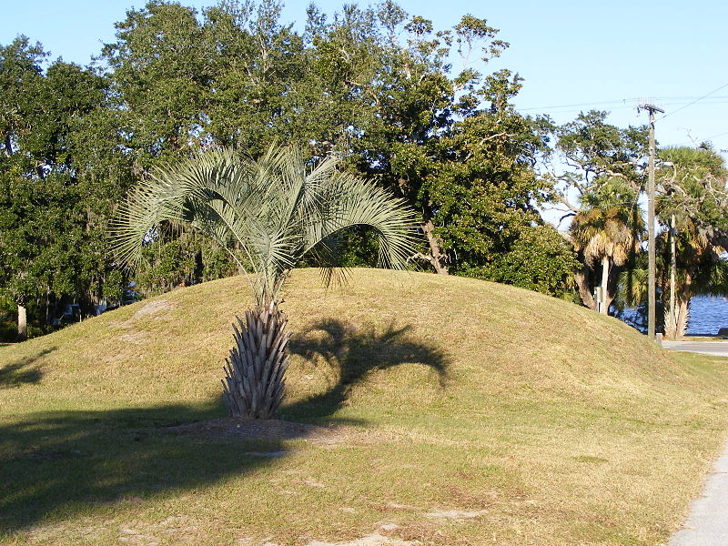 Ormond Mound