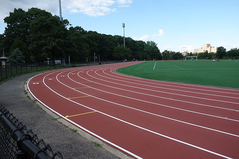 Roy Wilkins Park