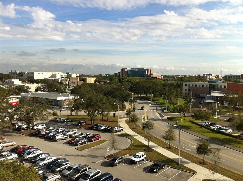 Université de Floride du Sud
