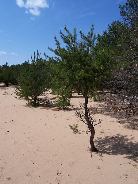 Buckhorn State Park