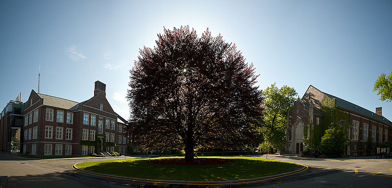 Instituto Politécnico de Worcester