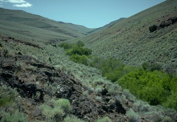 Great Basin Desert