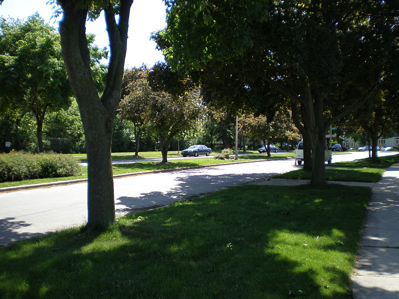 Martin Drive