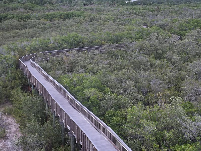 Weedon Island Preserve