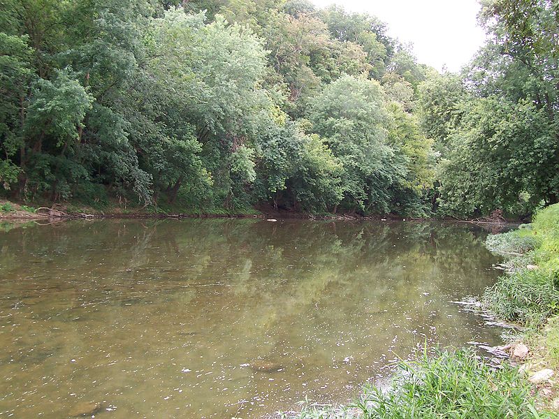 Hayswood Nature Reserve