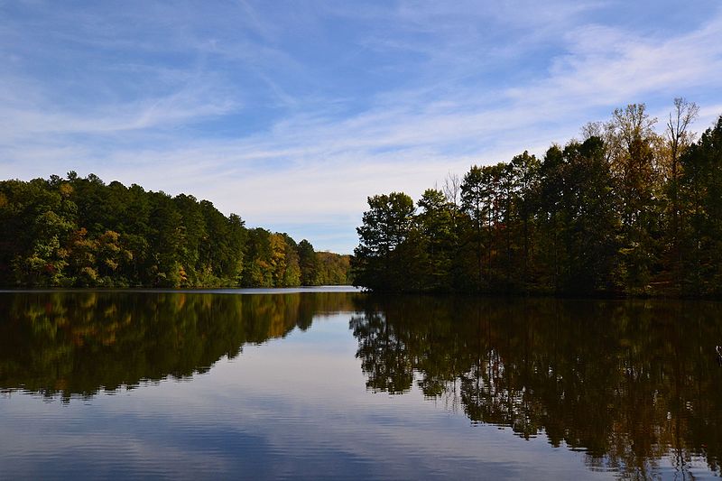 Natchez Trace State Park