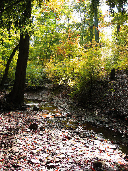 Rutgers Gardens