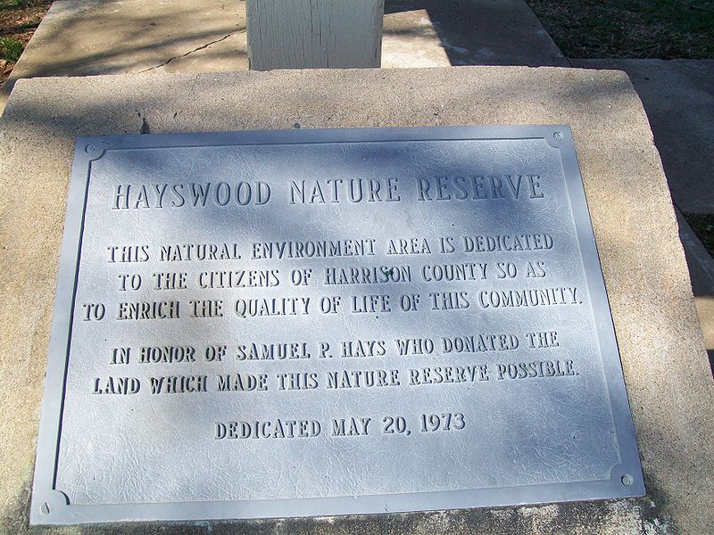 Rezerwat Przyrody Hayswood