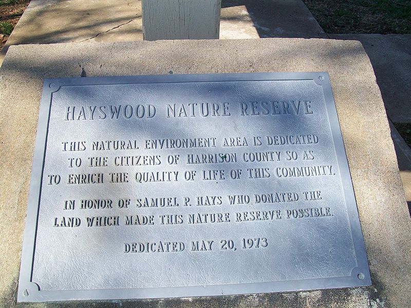 Hayswood Nature Reserve