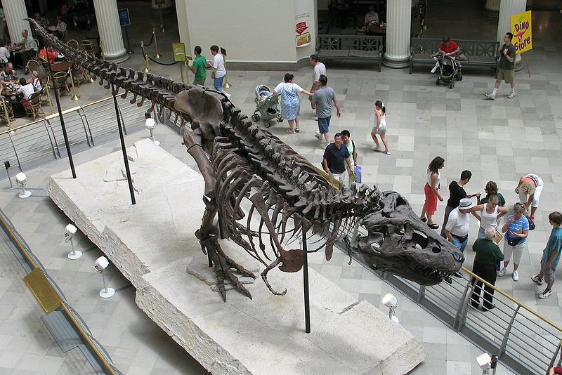 Museo de Historia Natural de Florida