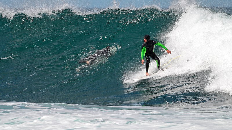 Steamer Lane