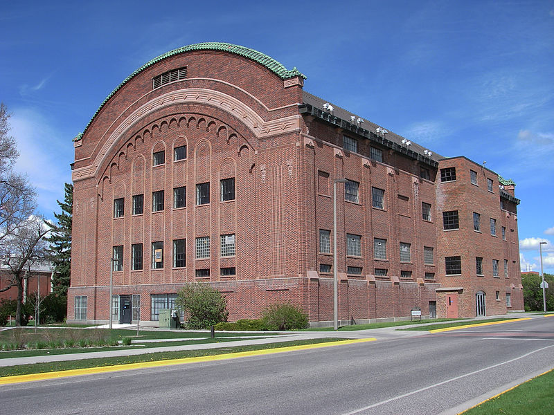 Université d'État du Montana