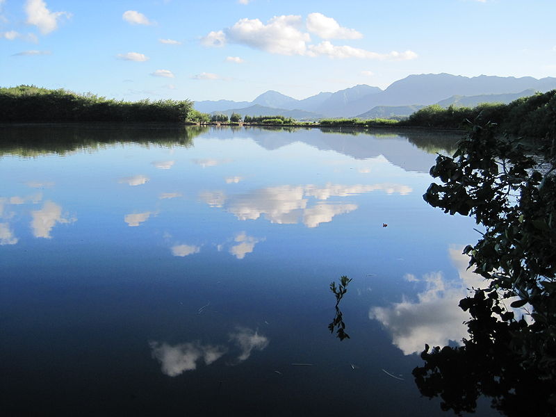 Molii Fishpond