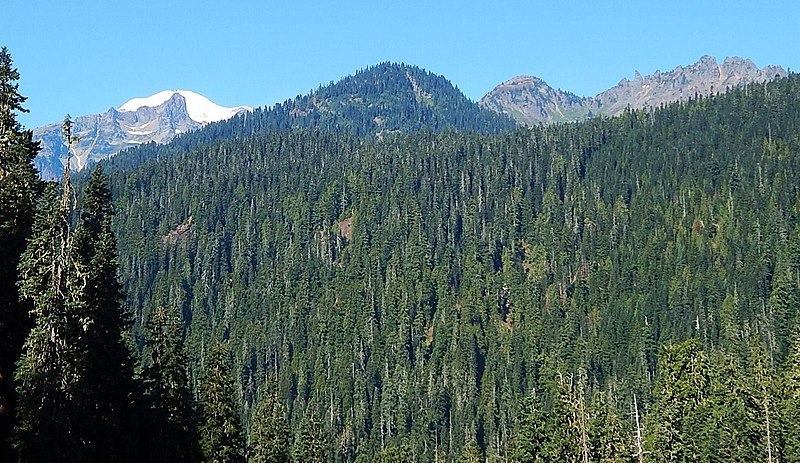 Buell Peak