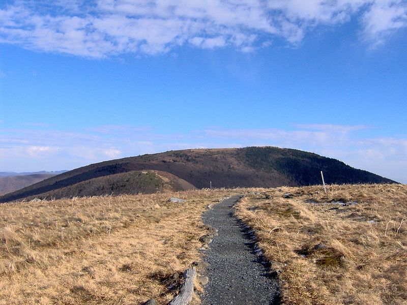 Roan Mountain