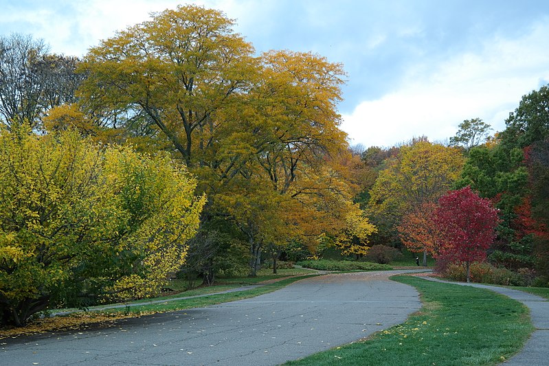 Arboretum Arnold