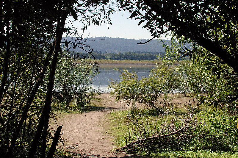 Smith and Bybee Wetlands Natural Area