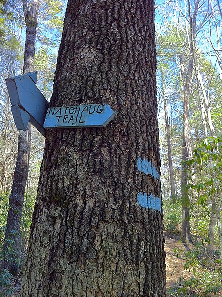 Natchaug Trail