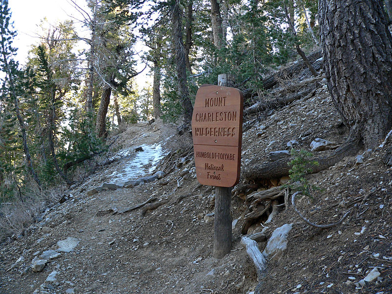 Mount Charleston Wilderness