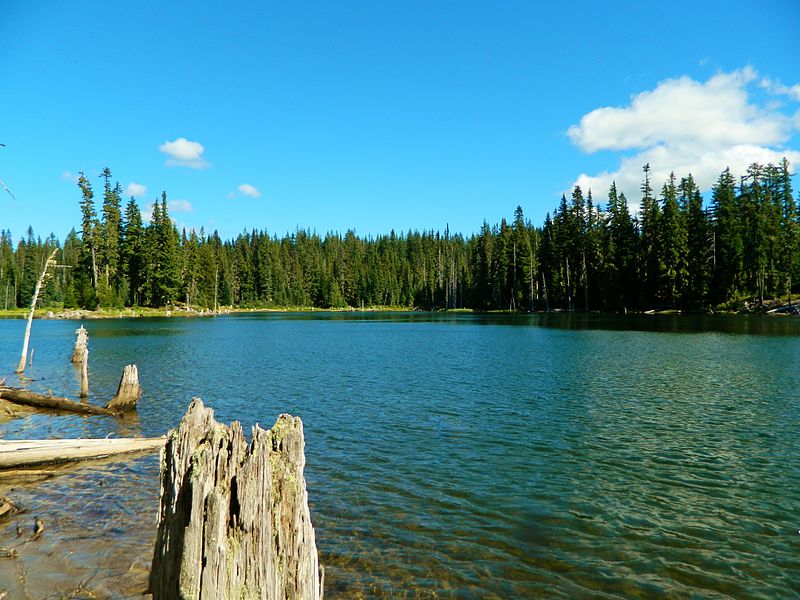 Horseshoe Lake