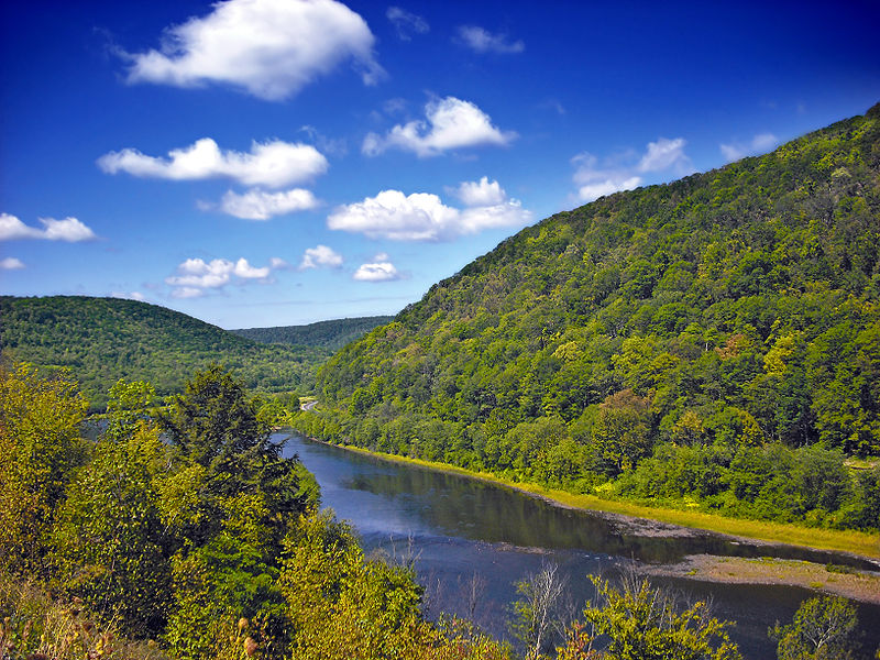 Bucktail State Park Natural Area