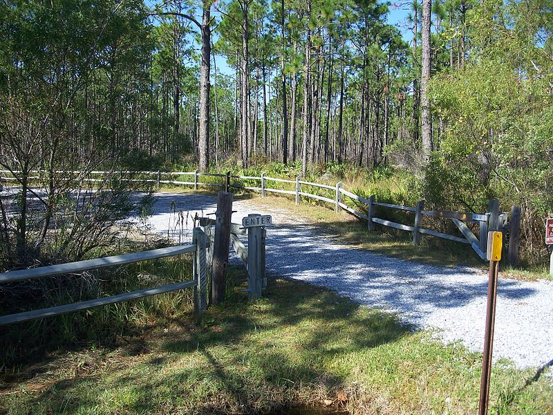 Tarkiln Bayou Preserve State Park