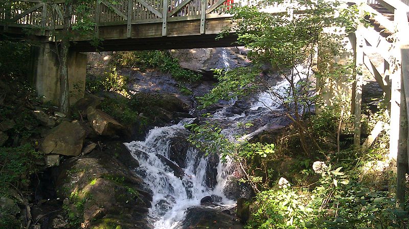 Park stanowy Amicalola Falls