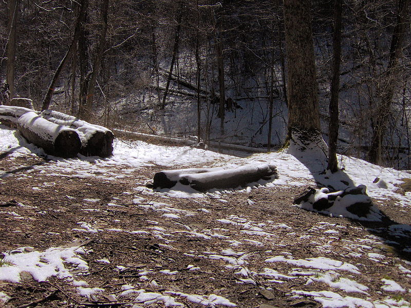 Meigs Mountain Trail