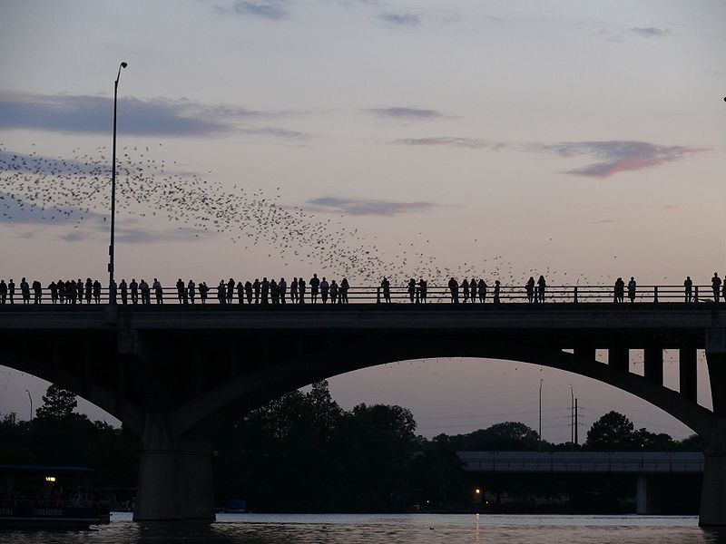 Ann W. Richards Congress Avenue Bridge