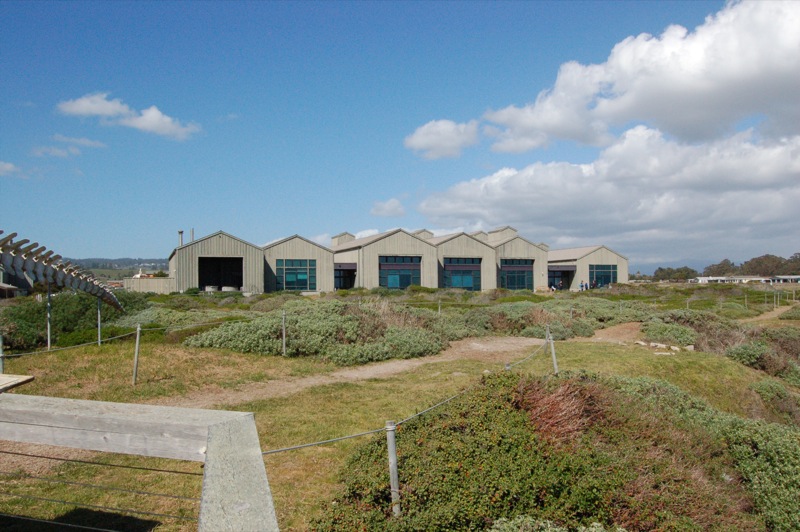 Long Marine Laboratory