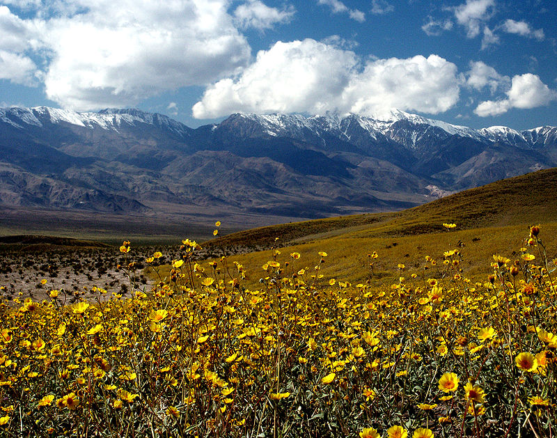 Valle de la Muerte