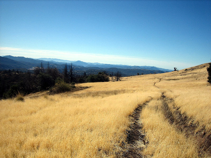 Park Stanowy Cuyamaca Rancho