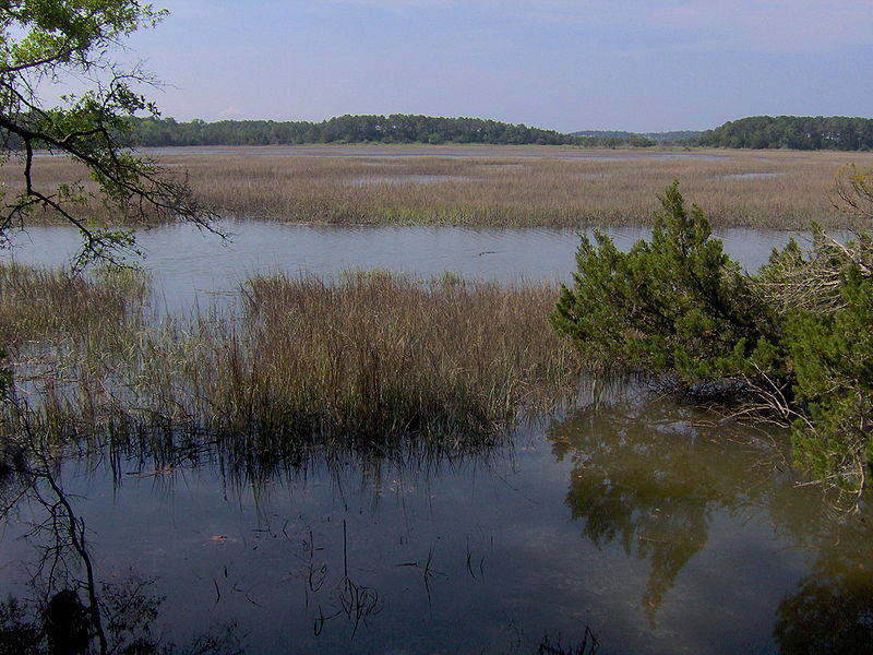 Wormsloe Historic Site