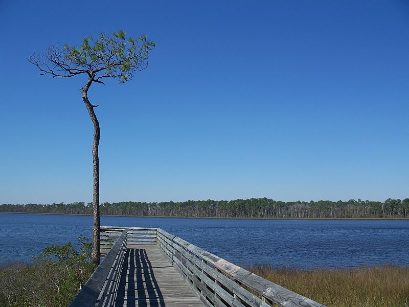 Tarkiln Bayou Preserve State Park