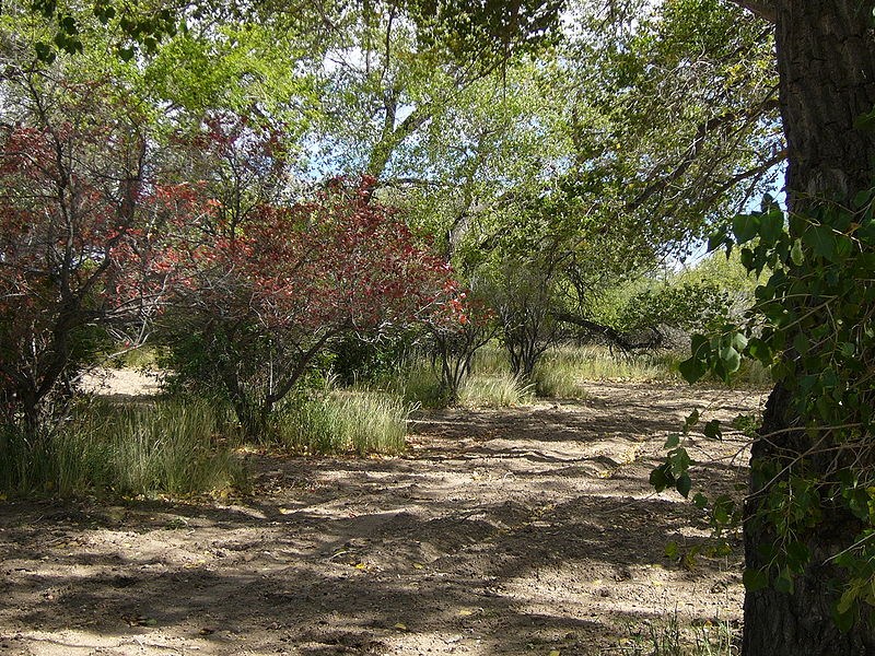 Cheyenne Botanic Gardens