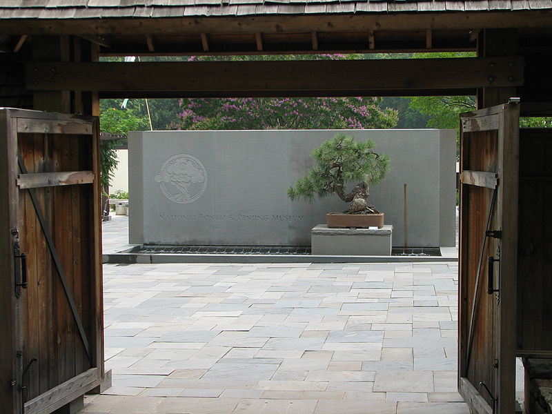 National Bonsai Foundation