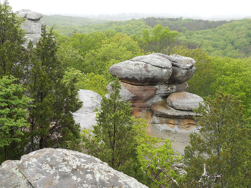 Forêt nationale de Shawnee