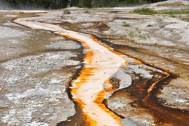 Bead Geyser