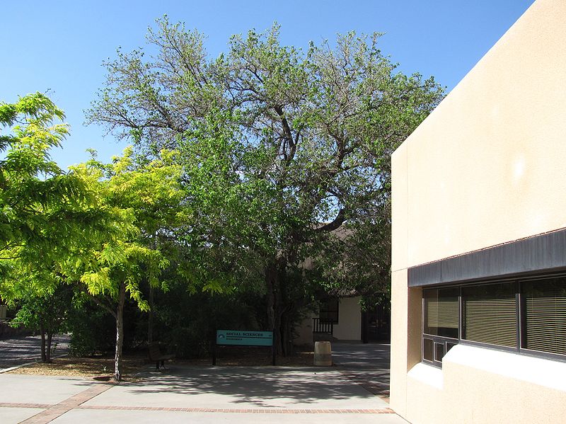 University of New Mexico Arboretum