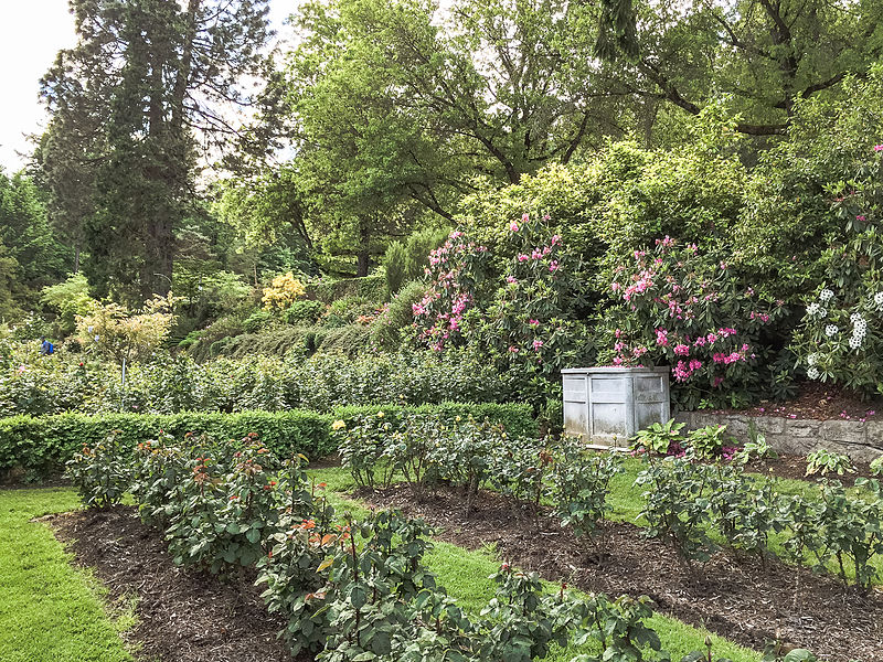 International Rose Test Garden