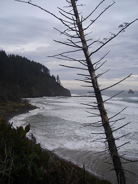 Cape Meares