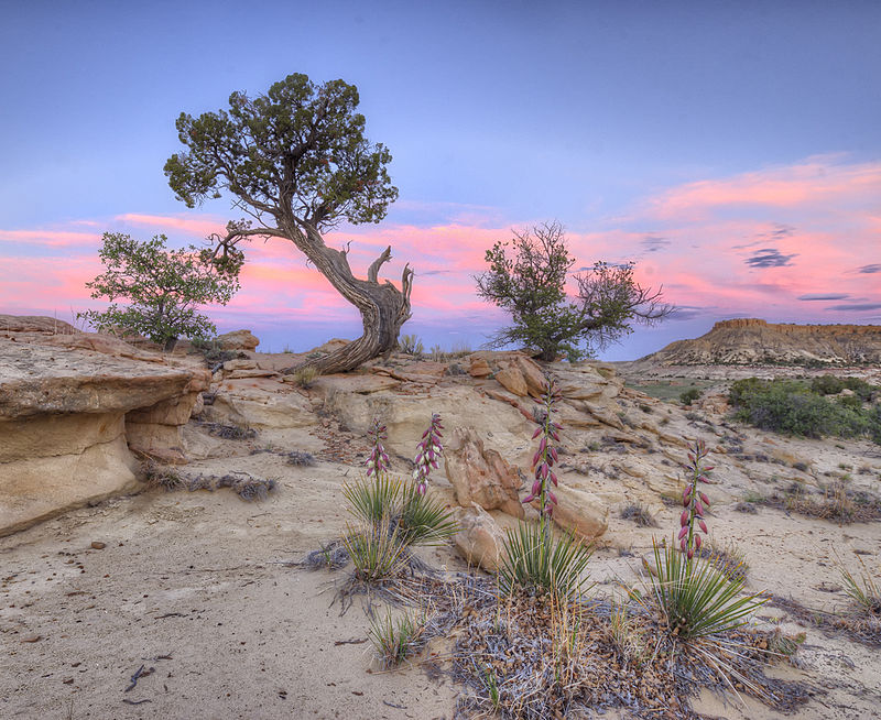 Ojito Wilderness