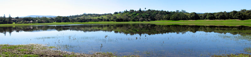 Lake Lagunita