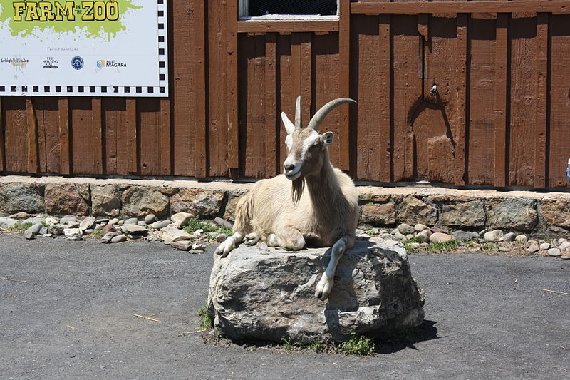 Lehigh Valley Zoo